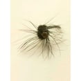 thumbnail image 2 of Stalus, Judy 12x14 Black Ornate Wood Framed with Double Matting Museum Art Print Titled - Macro Lure III, 2 of 4
