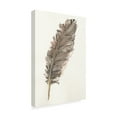 thumbnail image 2 of Trademark Fine Art 'Gold Feathers VII' Canvas Art by Chris Paschke, 2 of 3