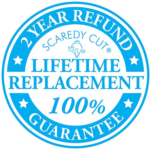 scaredy cat grooming kit