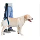 thumbnail image 1 of Arnes Rehabilitación Para Perro. Apoyo En Patas Traseras, 1 of 8