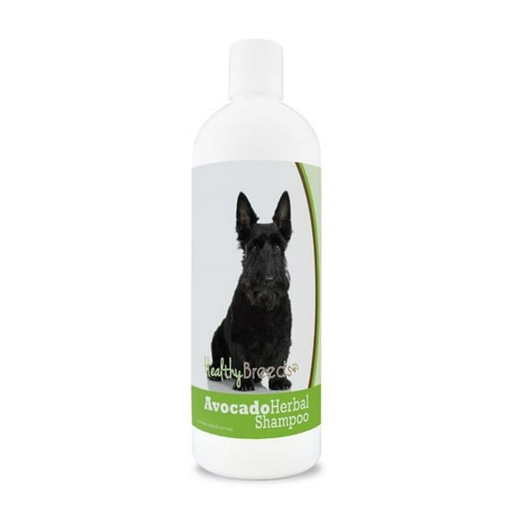 Scottish Terrier Avocado Herbal Dog Shampoo