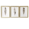 thumbnail image 2 of Set of Three Three Neutral Brown Feathers Framed Wall Art Set, 2 of 5