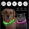 thumbnail image 4 of Collar luminoso recargable por USB para perros pequeños y grandes, Collar de seguridad para mascotas con luz nocturna y Led brillante ajustable, 4 of 4