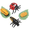 thumbnail image 1 of Highly Simulation Insect Model Toy Educational Children Kid Ladybug Model Toy GiftLadybug, 1 of 4