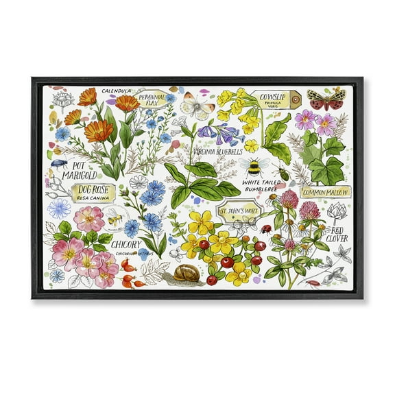 Stupell Industries Various Herbs Benefits Botanical & Floral Painting Black Floater Framed Canvas Art Print Wall Art, 25 x 17