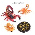 thumbnail image 3 of 1 Set Life Cycle Toy Household Simple Simulation Model Educational Toys Exquisite Interesting Scorpion Models for Home School Black Red, 3 of 9