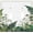 Rustic Green Leaf White Flower, variant on Decorative Light Switch Cover Plate Rustic Green Eucalyptus Leaf Garden 3 Gang Wall Plates for Electrical Triple Toggle Switch Plate Covers Outlet Covers Faceplate for Bedroom Home Decor