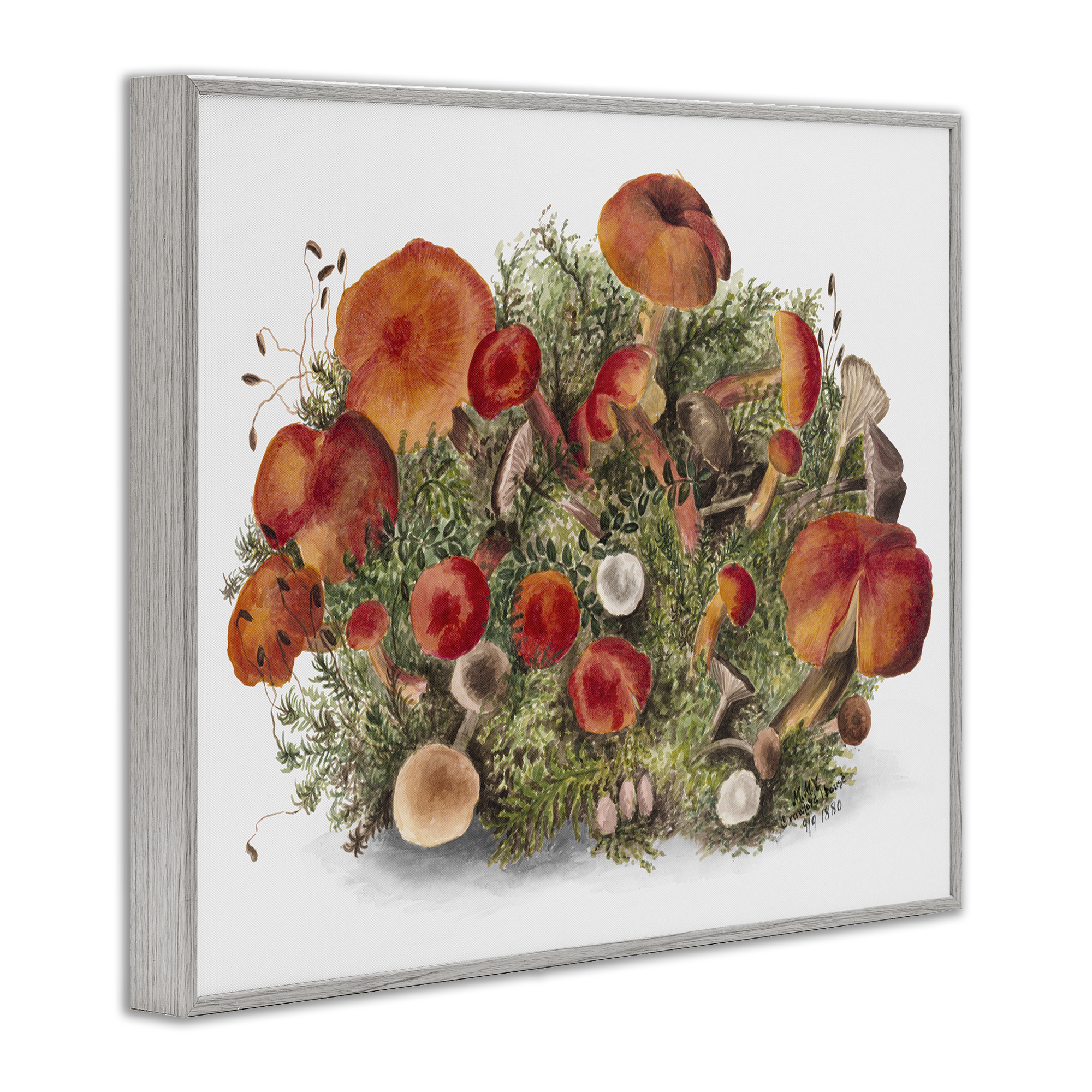 Stupell Industries Rustic Cottage Mushrooms Botanical & Floral Painting Gray Framed Art Print Wall Art, 30 x 24