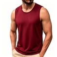 thumbnail image 5 of Dagugfen Workout Tank Tops for Men Mesh Breathable Regular Fitted Sleeveless Crew Neck Basic Layer Tops Summer Outdoor Activewear Tanks, 5 of 7