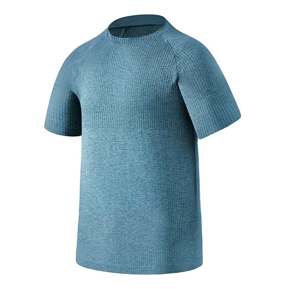 LPZOOGU Men's Quick Dry Cationic Short Sleeve T-Shirt Crew Neck Solid Color Spring Summer Casual Athletic Tops