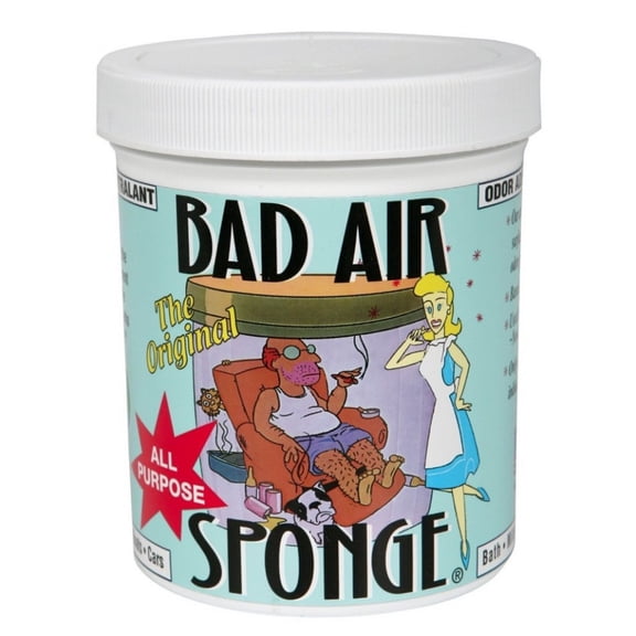 Bad Air Sponge Odor Absorber, Home & Pet Odor Eliminator, Bad Smell Eliminator for Indoor Air, 14 oz