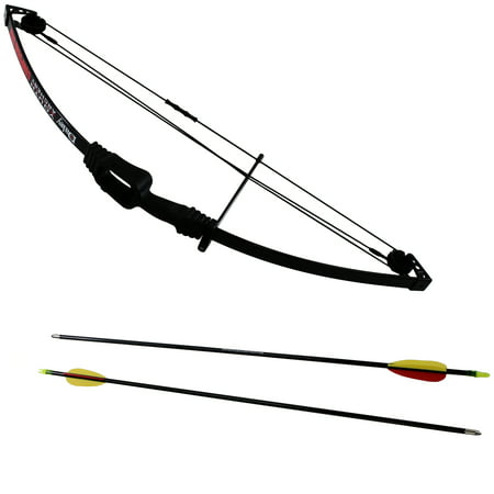 Youth Package (Best Bow Package Under 500)