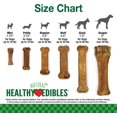 thumbnail image 5 of Nylabone Friandises pour Chiens Comestibles Sains Saveur Bacon Longue Durée, 12 Unités, 5 of 5