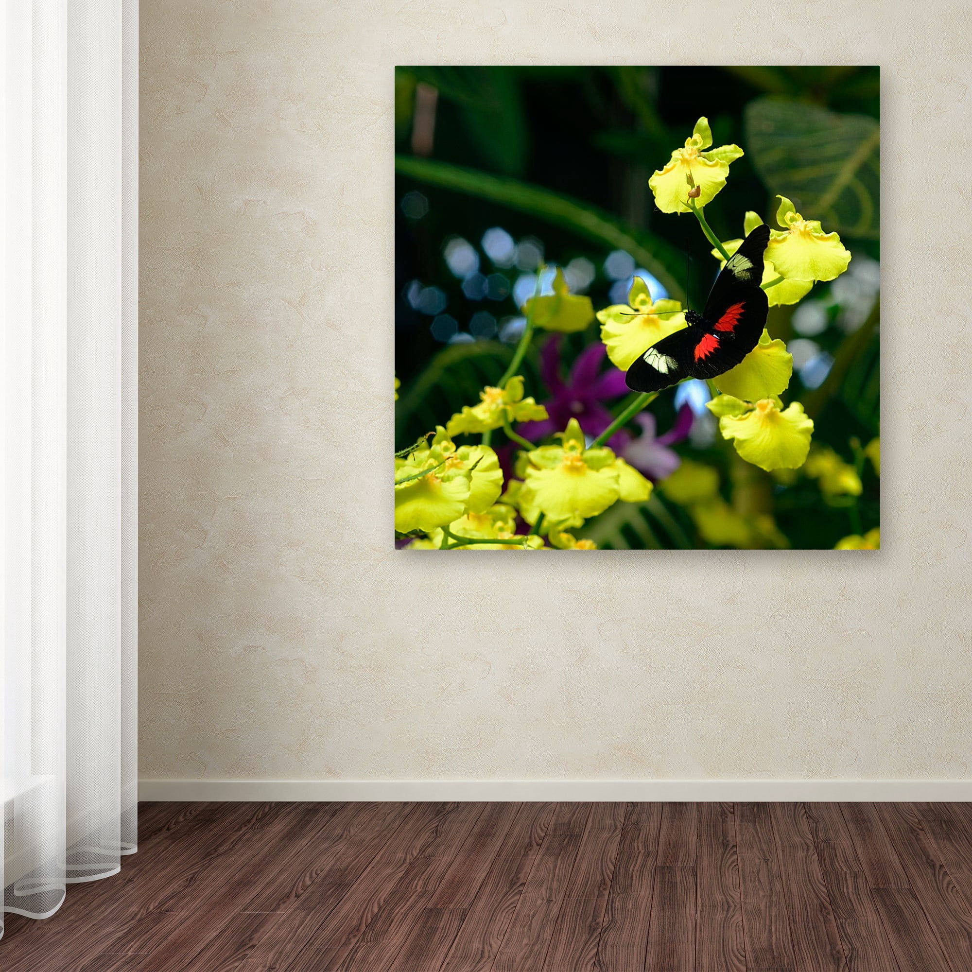 Trademark Fine Art "Doris Longwing Butterfly on Orchid" Canvas Art by Kurt Shaffer