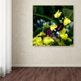 thumbnail image 4 of Trademark Fine Art "Doris Longwing Butterfly on Orchid" Canvas Art by Kurt Shaffer, 4 of 4