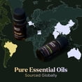 thumbnail image 3 of Juego de aceites esenciales – Los 20 mejores aceites para difusores, humidificadores, masajes, aromaterapia, fabricación de velas, cuidado de la piel y el cabello, menta, árbol de té, lavanda, eucalip, 3 of 9