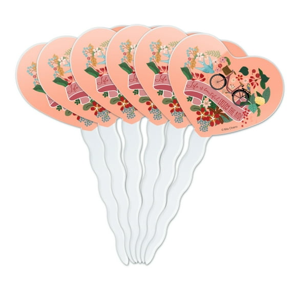 Life is Beautiful Enjoy the Ride Bicycle Heart Love Cupcake Picks Toppers Decoration Set of 6