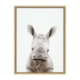 thumbnail image 3 of Kate and Laurel Sylvie Animal Studio Baby Rhino Framed Canvas Wall Art by Amy Peterson Art Studio, 18x24 Natural, Modern Animal Portrait Art for Wall, 3 of 7