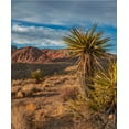 thumbnail image 2 of Fitzharris, Tim 12x14 Black Ornate Wood Framed with Double Matting Museum Art Print Titled - Red Rock Canyon National Conservation Area near Las Vegas-Nevada, 2 of 4