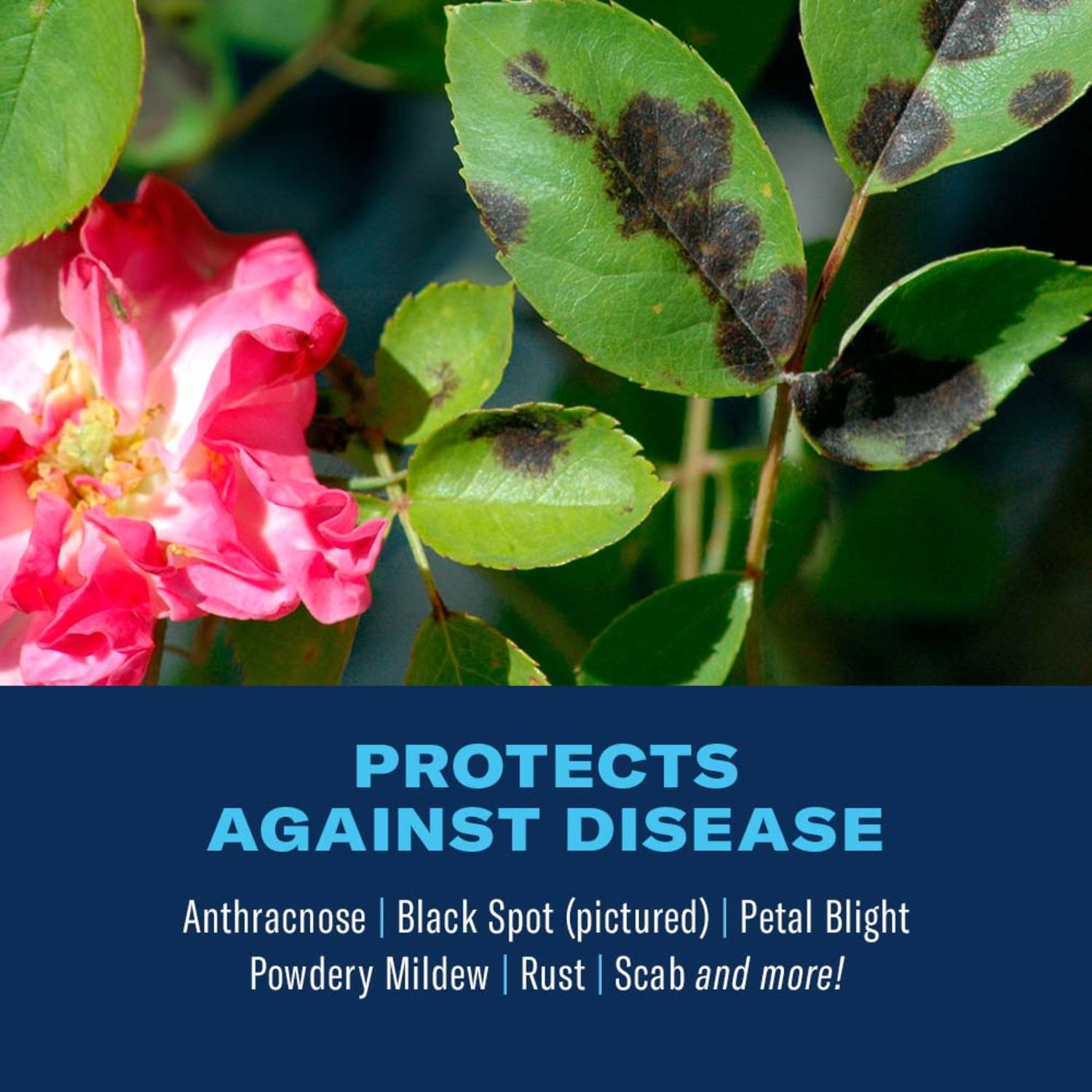 BioAdvanced 3-In-1 Insect, Disease and Mite Control, Ready-To-Spray, 32 FOZ