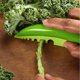 thumbnail image 1 of Pelador de hierbas y hojas vegetales, herramienta peladora de hierbas con 6 agujeros, col rizada, remolacha, romero y hierba de hoja de tomillo, 1 unidad, 1 of 5