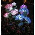 thumbnail image 2 of 4-Piece Set Of Outdoor Solar Courtyard Lights - Larger And More Realistic Embroidered Ball Flower Lights, Courtyard Garden Lawn Channel Outdoor Colorful Lights Decoration Gifts, 2 of 6