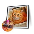 thumbnail image 2 of Cuadros Decorativos Kit de pintura de diamante 5D, imagen de mosaico de taladro redondo completo de gato DIY (B3412) Likrtyny embutido en tela, 2 of 6