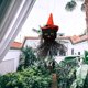 thumbnail image 5 of Muñeca de Halloween Decoración suave y cómoda de fantasmas y brujas 1 pieza (gato negro) oso de fresa Electrónica, 5 of 5