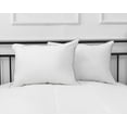 thumbnail image 1 of Millano Health Hypoallergenic Pillow - 2 Pack, 1 of 2