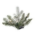 thumbnail image 2 of Vickerman 9' Glitter Tannenbaum Clear Lights Artificial Christmas Tree in Green, 2 of 2