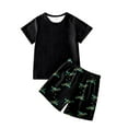 thumbnail image 5 of WhouRiu Boys Casual Outfits Short Sleeve Tees Dinosaur Graphic Shorts Sets Kids Summer Daily Clothes, 5 of 5