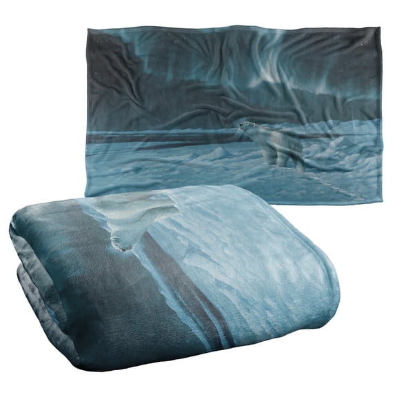 Wild Wings Polar Night Light 2 Silky Touch Super Soft Throw Blanket 36" x 58"