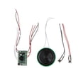 thumbnail image 3 of Esquirla DIY Electric Recorder Model Toy Electrical Circuit Puzzle Experiments Physics, 3 of 8