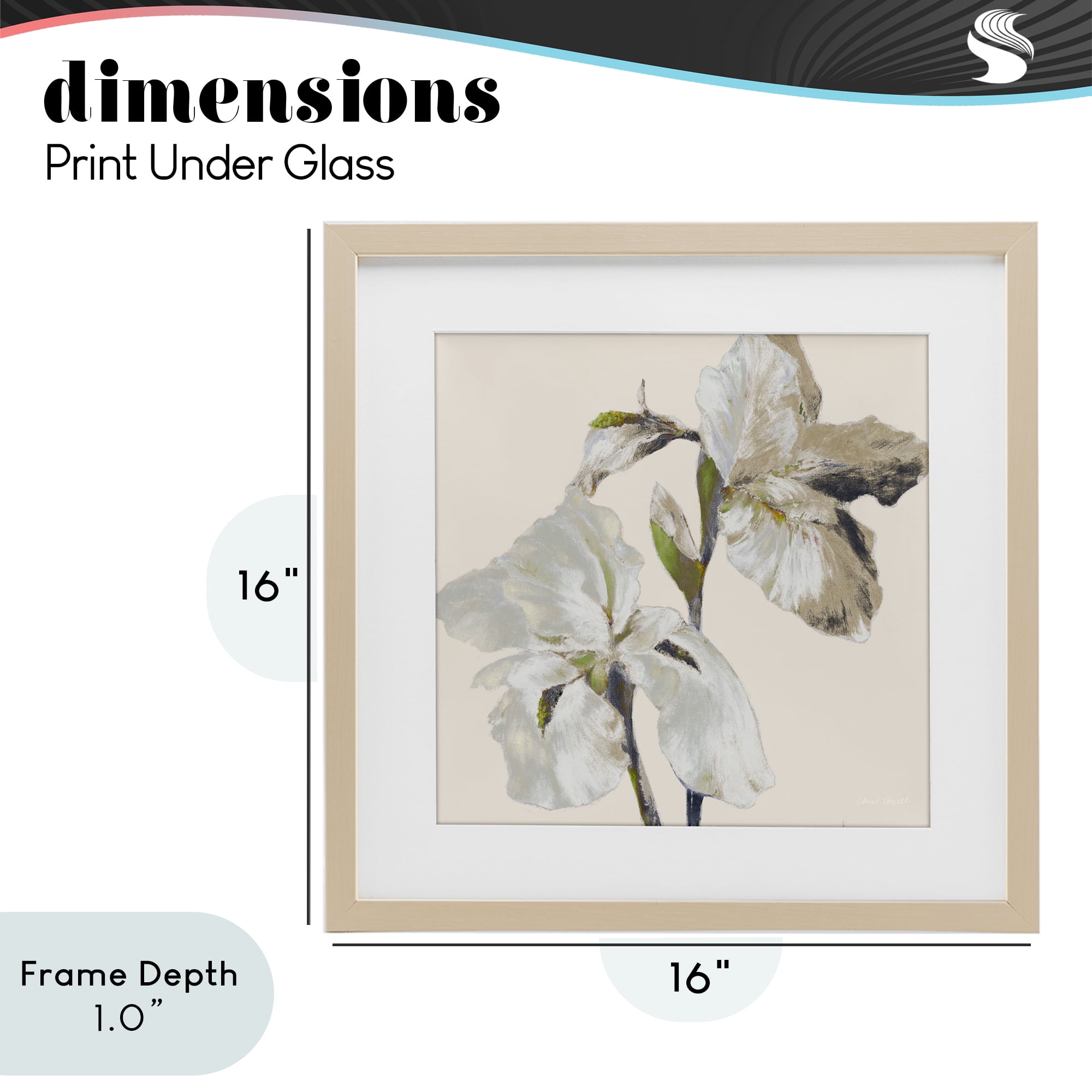 Stupell Industries Irises Soft Beige Birch Framed Print Under Glass, design by Lanie Loreth