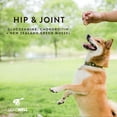 thumbnail image 6 of Dogswell 842191 Hip & Joint Chicken Jerky Pet Food, 12 Oz, 6 of 7