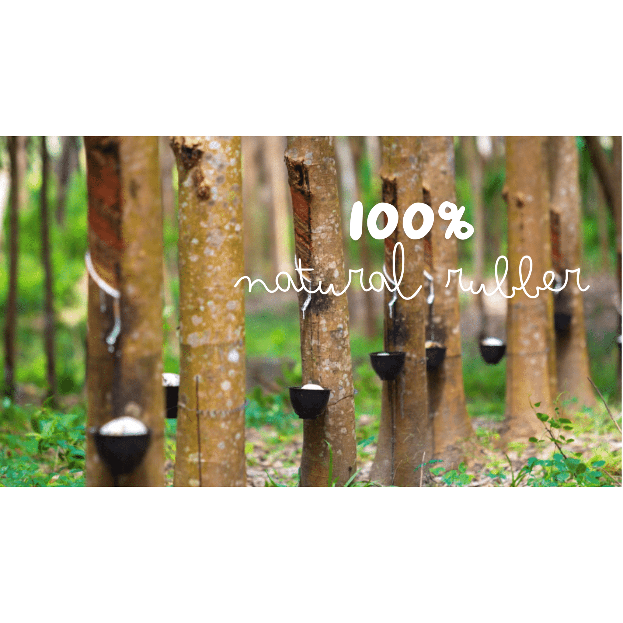 Hevea Pet Natural Rubber Non Toxic EcoPlay Ring Dog Toy