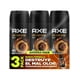 thumbnail image 1 of Pack de 6 Desodorante Axe Dark T Ahorra pack de 3/97g Axe Aerosol 97g, 1 of 3