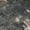 Taupe, variant on Addison Rugs Chantille Indoor/Outdoor Transitional Abstract Taupe Washable Rectangle Rug, 10' x 14'