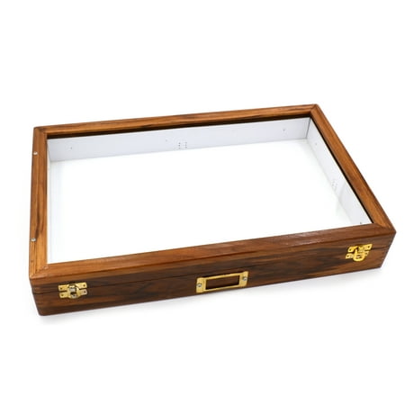 Insect Storage Box - Polished Wood- Eisco Labs