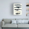 thumbnail image 3 of Victoria Barnes 'Whale Chart II' Canvas Art, 3 of 4