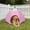 Pink, variant on Indoor & Outdoor Pet Tent, Cat Hut, Cat Cave, Kitten Bed with Removable Washable Cover, Pet Beds for Cats and Small Dogs