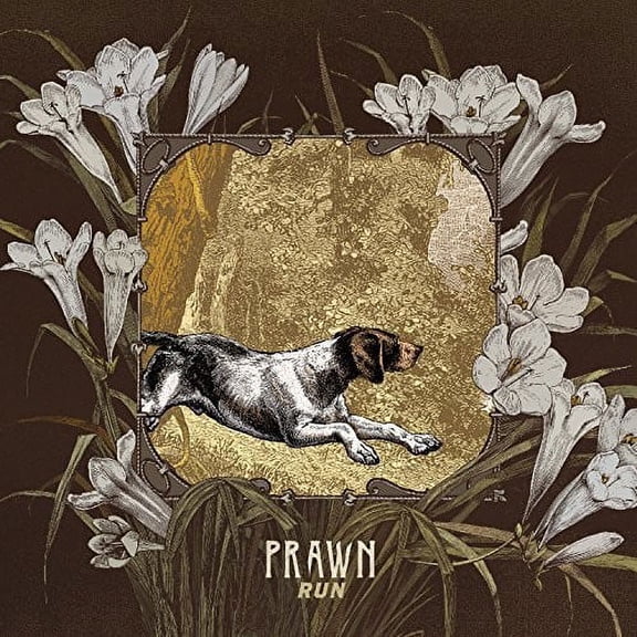 Prawn - Run - Rock - CD