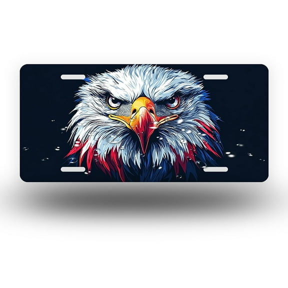 Patriotic hued Eagle Portrait Front License Plate, Funny Standard Plates Personalized Novelty Decorative For Men/Women/Boys/Girls Car 6×12 Inch