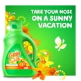 thumbnail image 3 of Gain Liquid Laundry Detergent, Island Fresh, 64 Loads, 92 fl oz, 3 of 10