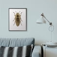 thumbnail image 3 of Stupell Industries Contemporary Beetle Gold Animal Photograph Black Framed Giclee Art, 24 x 30, by Design Fabrikken, 3 of 7
