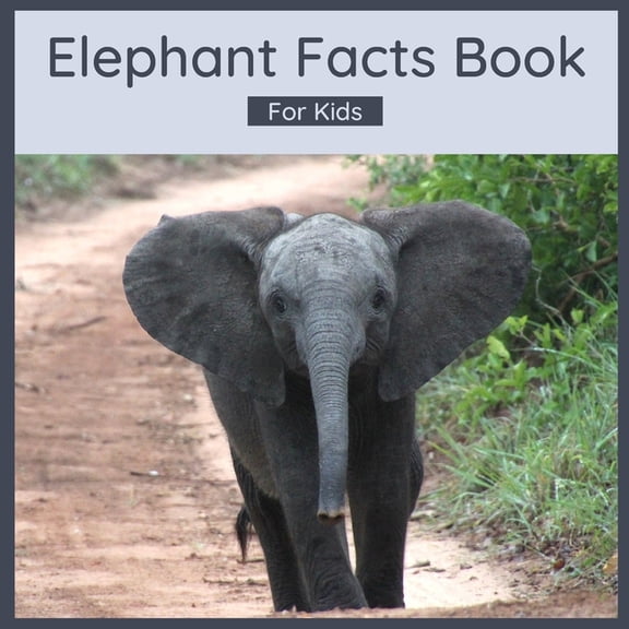 Elephant Facts Book For Kids: 50 Elephant Facts, (Paperback)