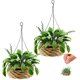 thumbnail image 1 of Casa de muñecas en miniatura TITOUMI 1:12 con plantas en maceta, modelo de maceta colgante de mini bonsái, para juguetes de niños y niñas pequeños, 1 of 7