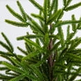 thumbnail image 4 of Nearly Natural 22in. Artificial Real Touch Norfolk Island Pine in White Decorative Planter with Natural Look, 4 of 7