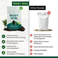 thumbnail image 2 of Rosy Soil Biochar Booster Soil Amendment, Organic Biochar for Plants, Improves Soil Health & Water Retention, for Gardens, Raised Beds & Indoor Plants, 8 qt, 2 of 8