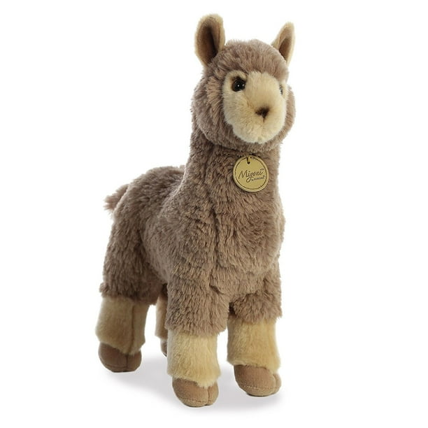 miyoni alpaca